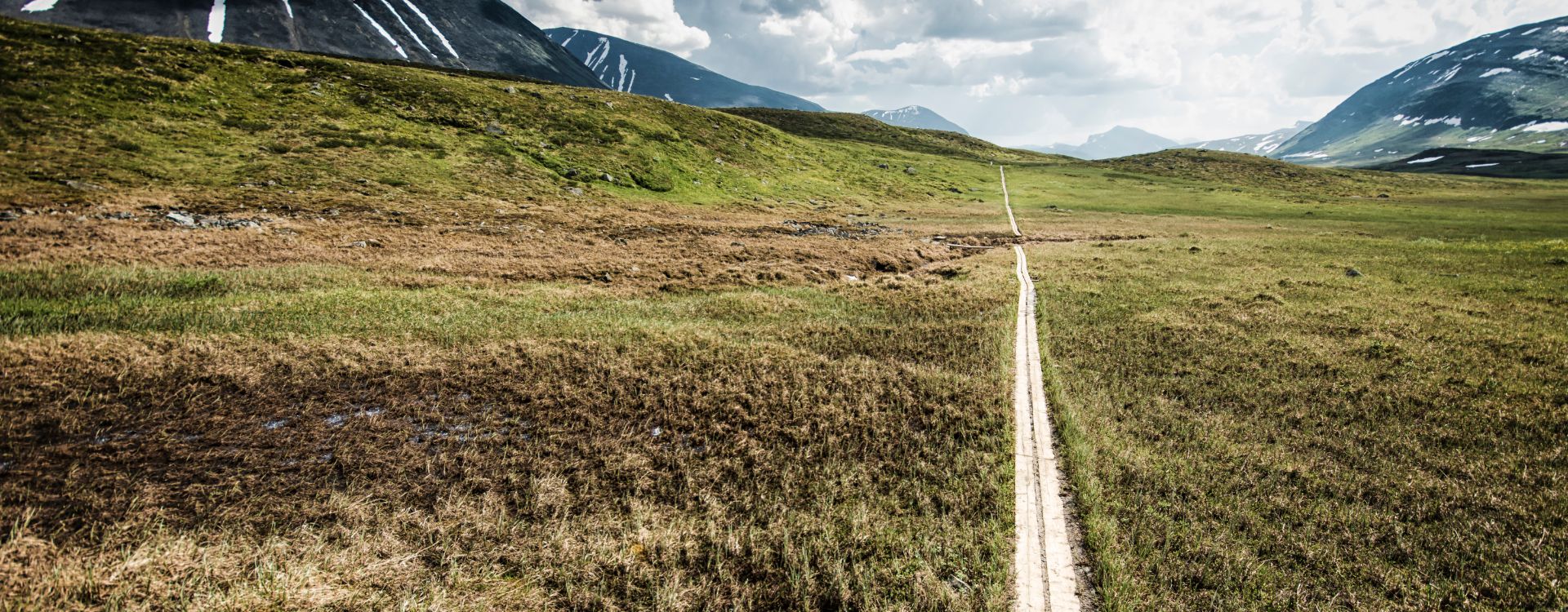 Gröna Bandet FKT | Buch Gallery
